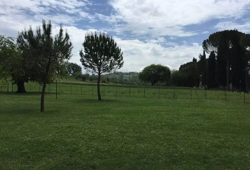 Fotos del hotel Sisto V:  25