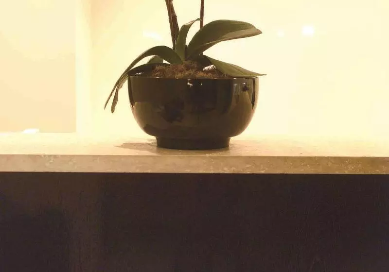 Fotos del hotel The Lyall  And Spa:  22