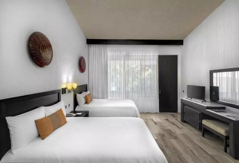 Fotos del hotel El Cid Granada:  23