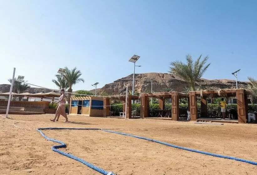 Fotos del hotel Turquoise Beach:  10