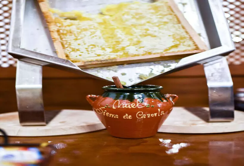 Fotos del hotel Alegria Bodega Real:  70