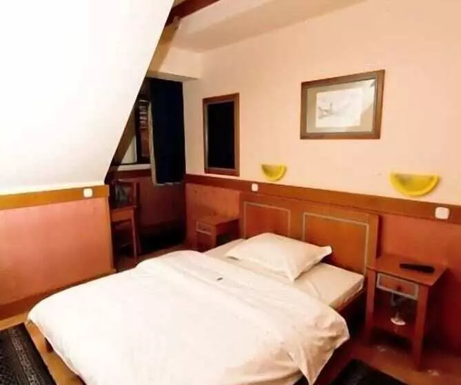 Fotos del hotel Garni Hotel Zenit:  23