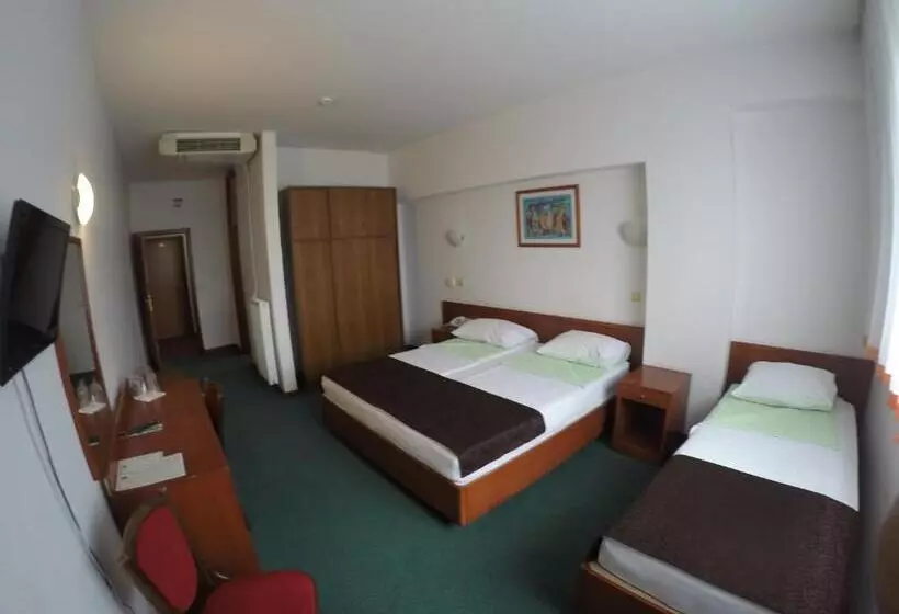 Fotos del hotel Saraj:  8