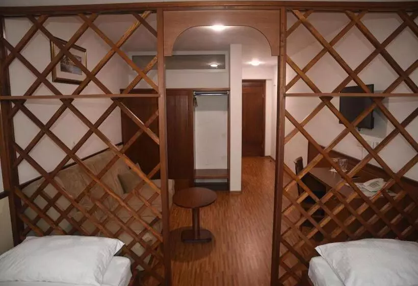 Fotos del hotel Saraj:  25