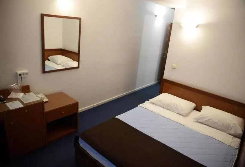 Fotos del hotel Saraj:  17