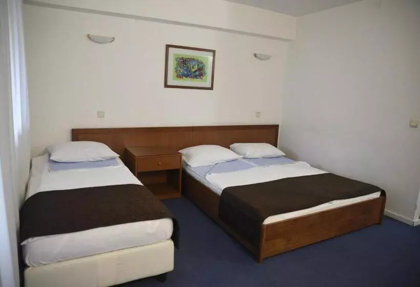 Fotos del hotel Saraj:  24