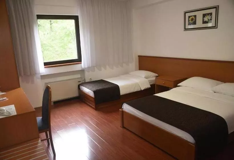 Fotos del hotel Saraj:  19