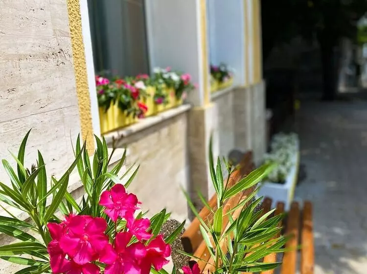 Fotos del hotel Alegro:  11
