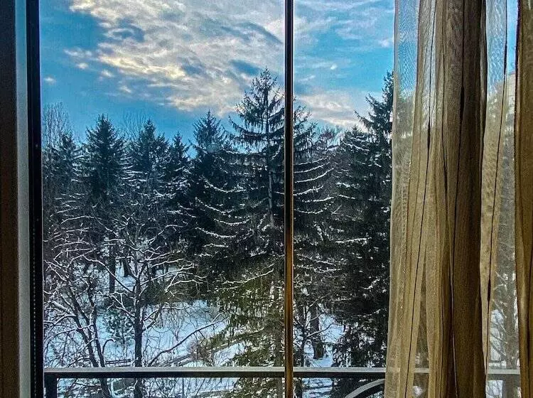 Fotos del hotel Alegro:  6