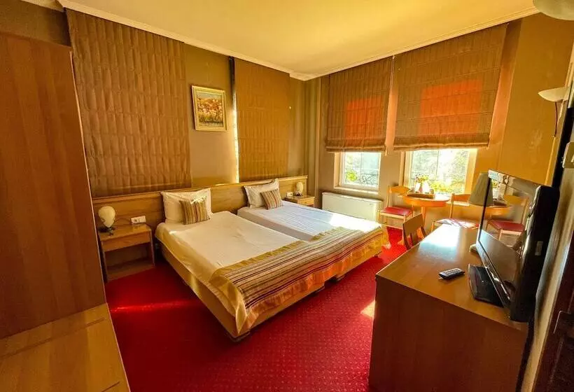 Fotos del hotel Alegro:  22