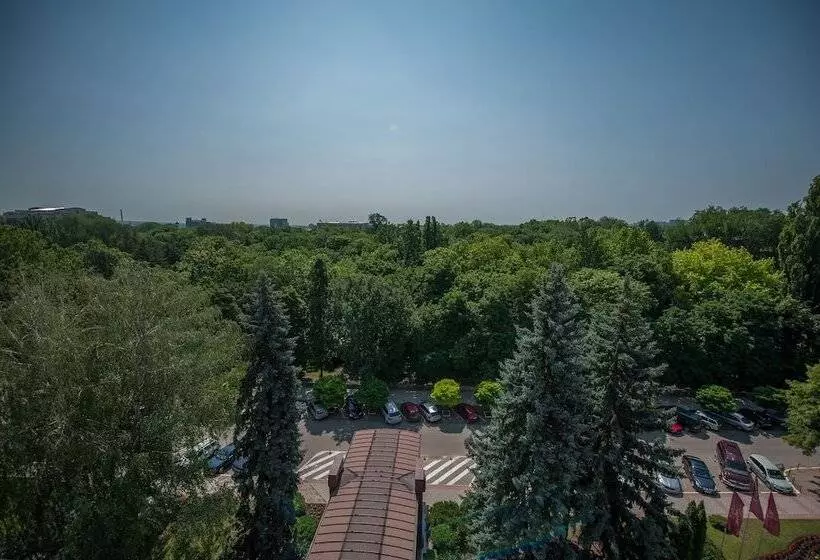 Fotos del hotel Jolly Alon:  7