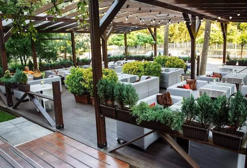 Fotos del hotel Jolly Alon:  6