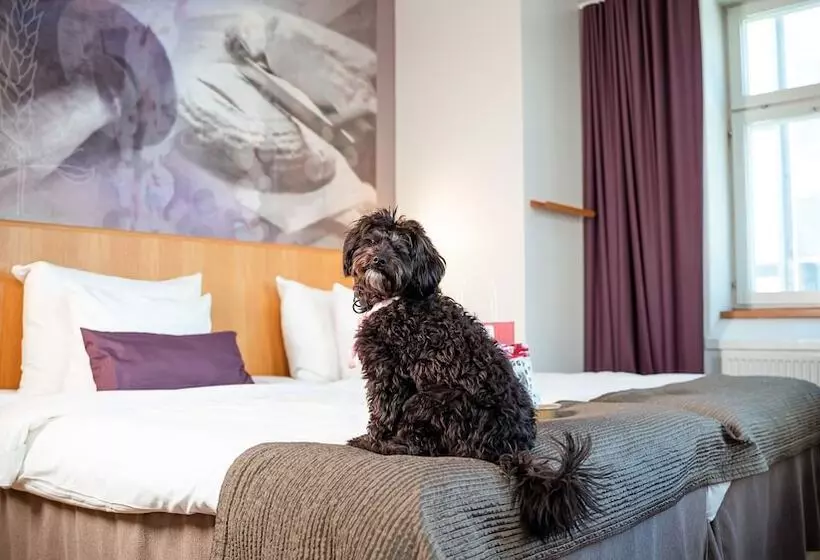 Fotos del hotel Clarion Collection Hotel Uppsala:  10