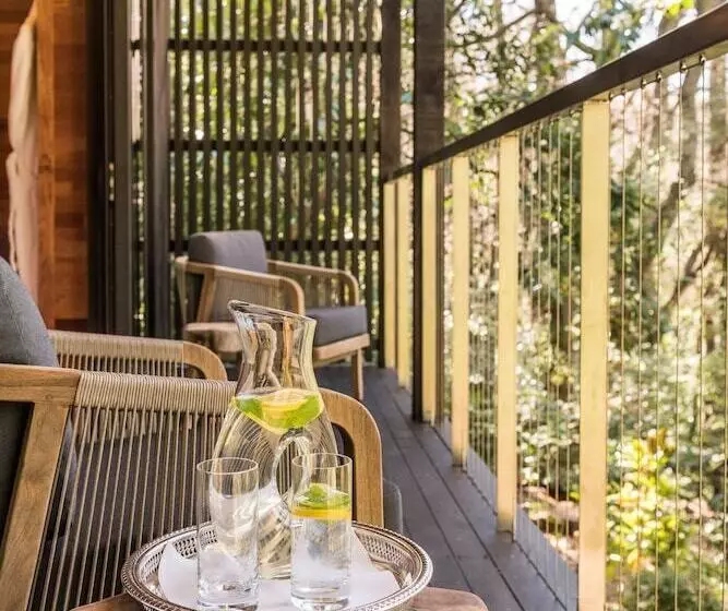 Fotos del hotel Otahuna Lodge:  5