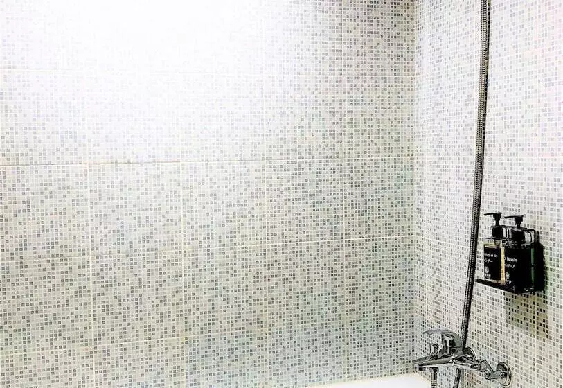 Fotos del hotel Lincoln:  18