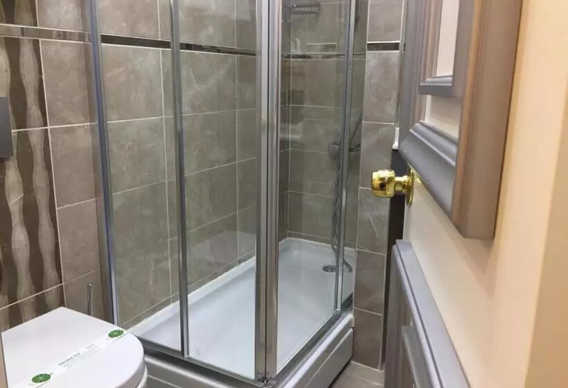 Fotos del hotel Sapphire:  11