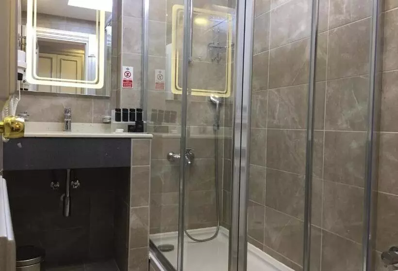 Fotos del hotel Sapphire:  15