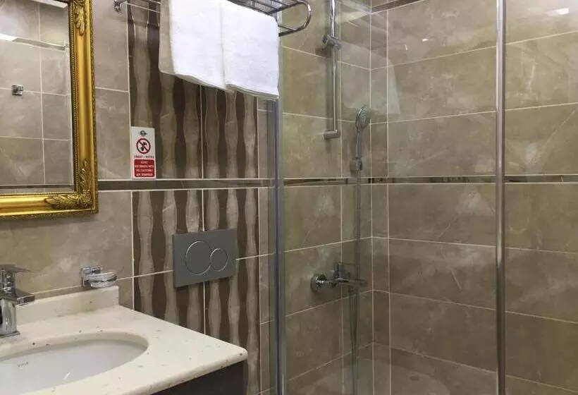 Fotos del hotel Sapphire:  18