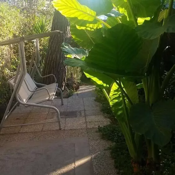 Fotos del hotel Desiderio:  7