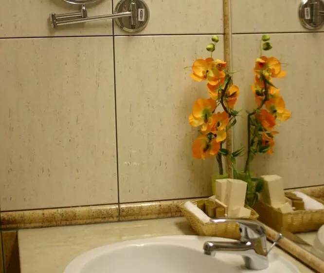 Fotos del hotel Maxi Park Hotel:  23