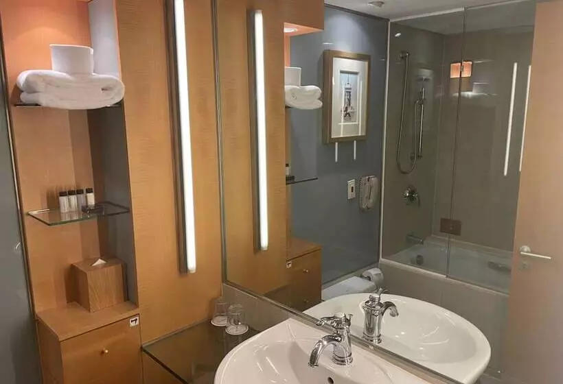 Fotos del hotel Daegu Grand:  11