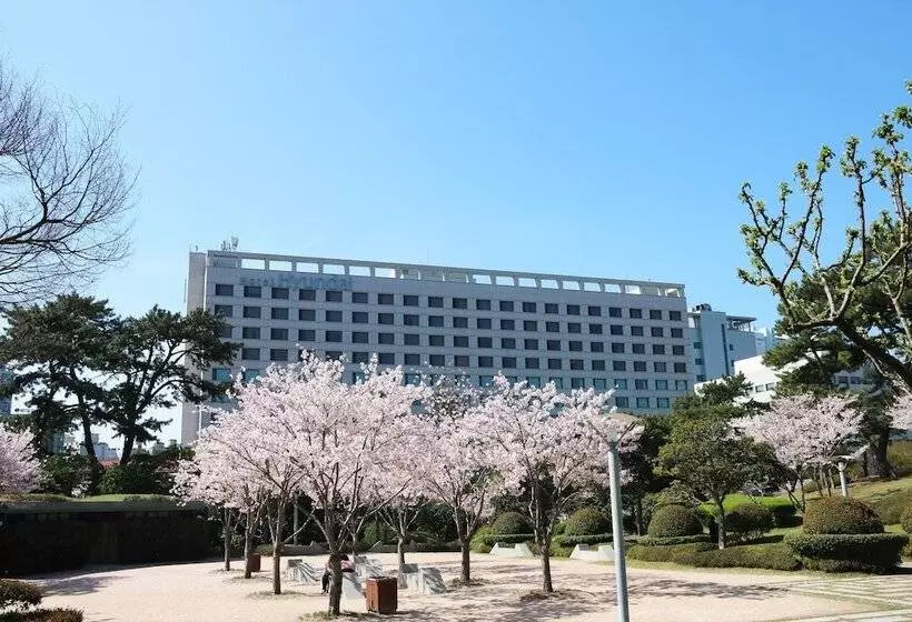 Fotos del hotel Hyundai By Lahan Ulsan:  11