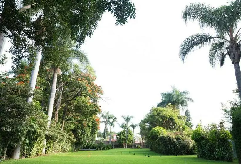 Fotos del hotel Hotel Jacarandas:  9