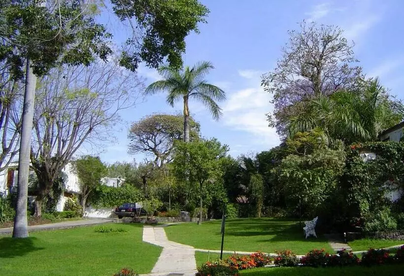 Fotos del hotel Hotel Jacarandas:  11