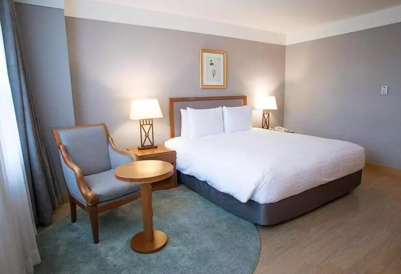 Fotos del hotel Mayfield  Seoul:  5