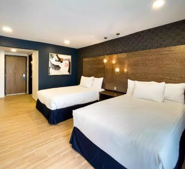 Fotos del hotel Gran Plaza  & Convention Center:  17