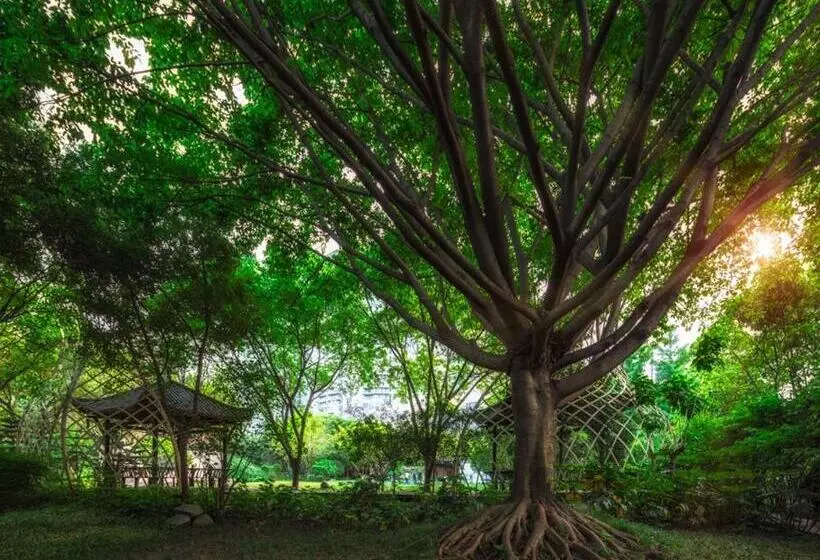 Fotos del hotel Chengdu Wangjiang:  12