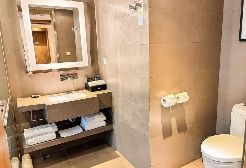 Fotos del hotel Novotel Guiyang Downtown:  19