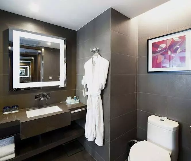 Fotos del hotel Novotel Guiyang Downtown:  21