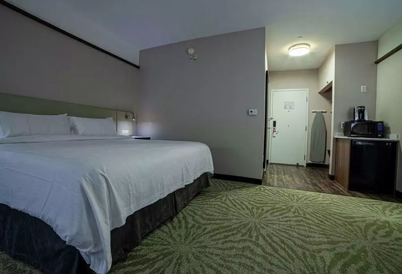 Fotos del hotel Hilton Garden Inn Montreal Airport:  21