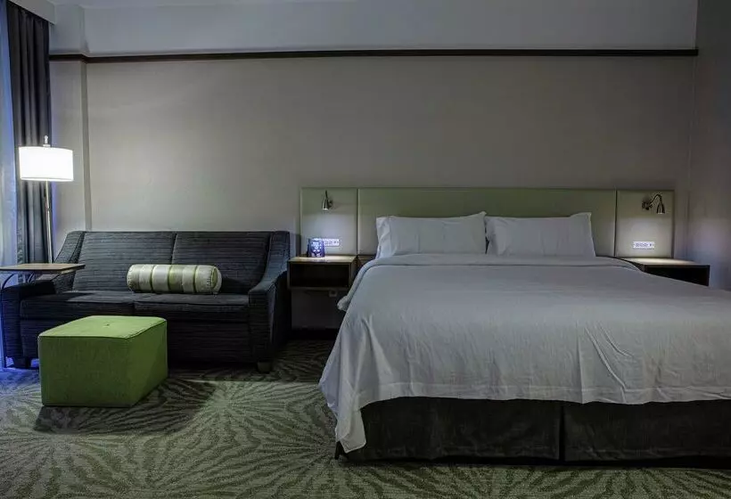 Fotos del hotel Hilton Garden Inn Montreal Airport:  22