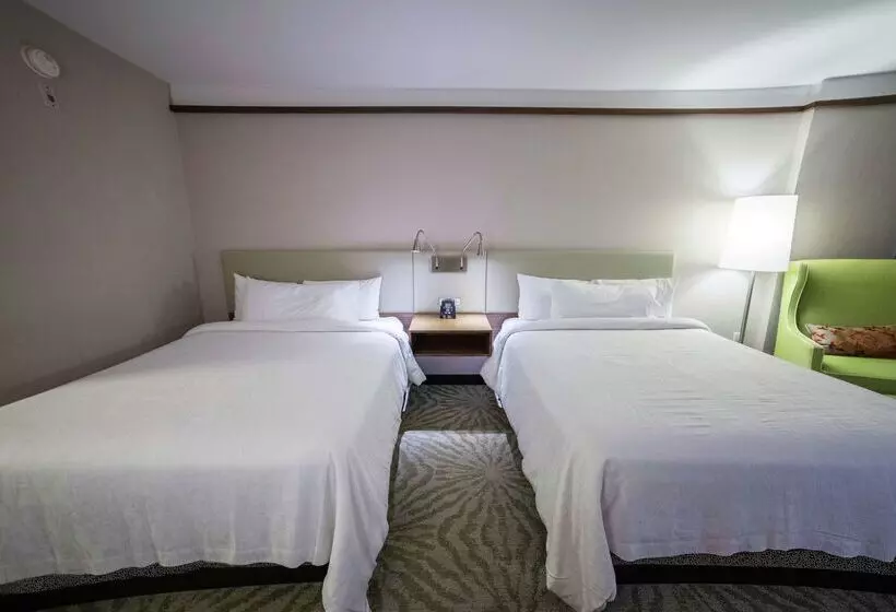 Fotos del hotel Hilton Garden Inn Montreal Airport:  20