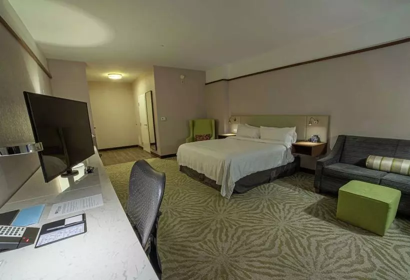 Fotos del hotel Hilton Garden Inn Montreal Airport:  24