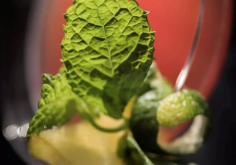 Fotos del hotel La Griffe Roma Mgallery Collection:  53