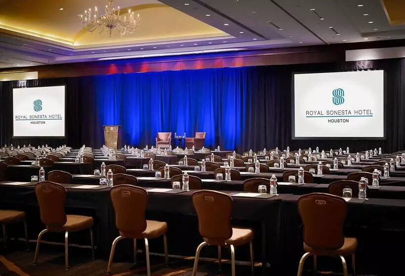 Fotos del hotel Royal Sonesta Houston Galleria:  19