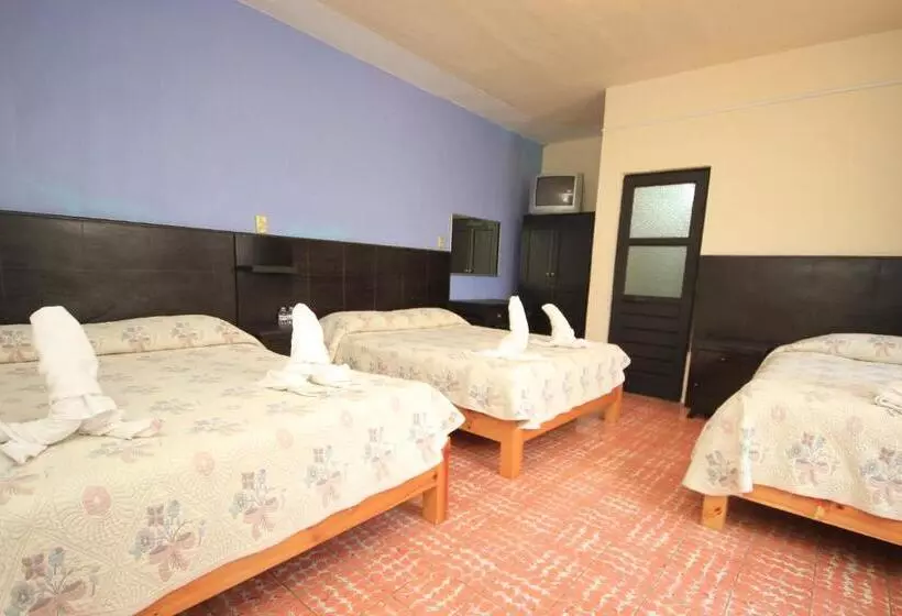 Fotos del hotel San Martin:  9
