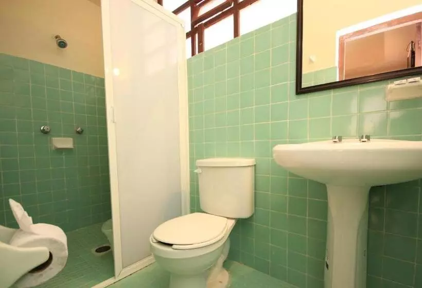 Fotos del hotel San Martin:  4