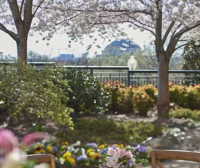 Fotos del hotel Mandarin Oriental Washington Dc:  5