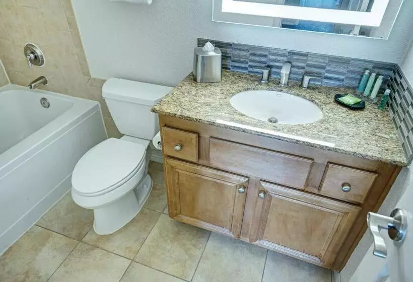 Fotos del hotel Desert Rose Resort:  23