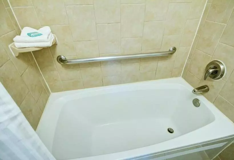 Fotos del hotel Desert Rose Resort:  21