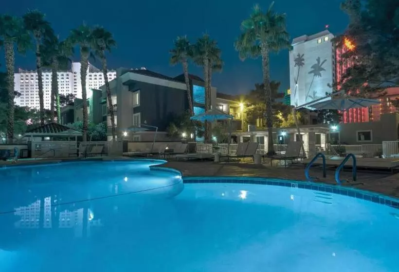 Fotos del hotel Desert Rose Resort:  2