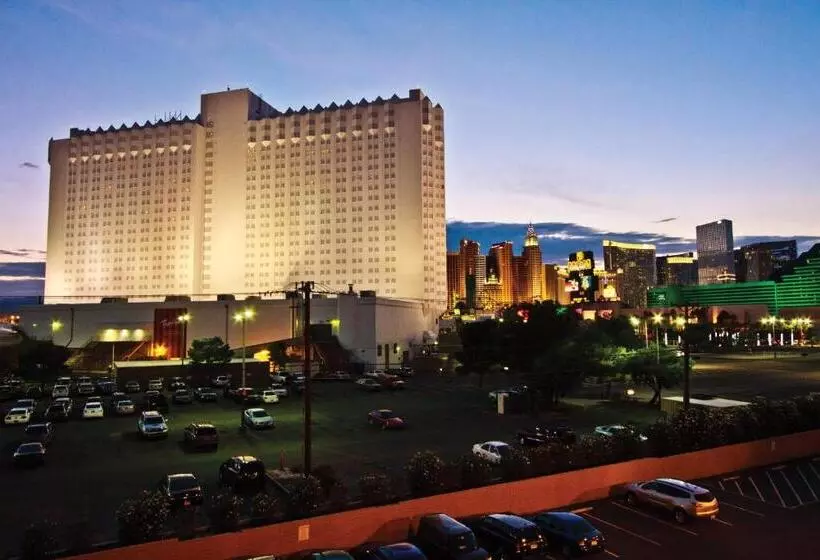 Fotos del hotel Desert Rose Resort:  8