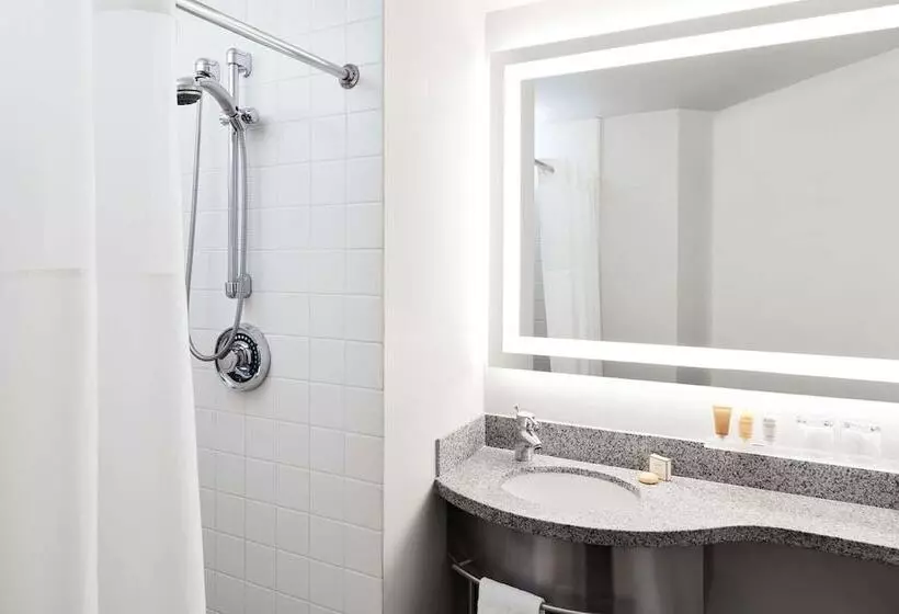 Fotos del hotel Radisson Hotel New York Wall Street:  12