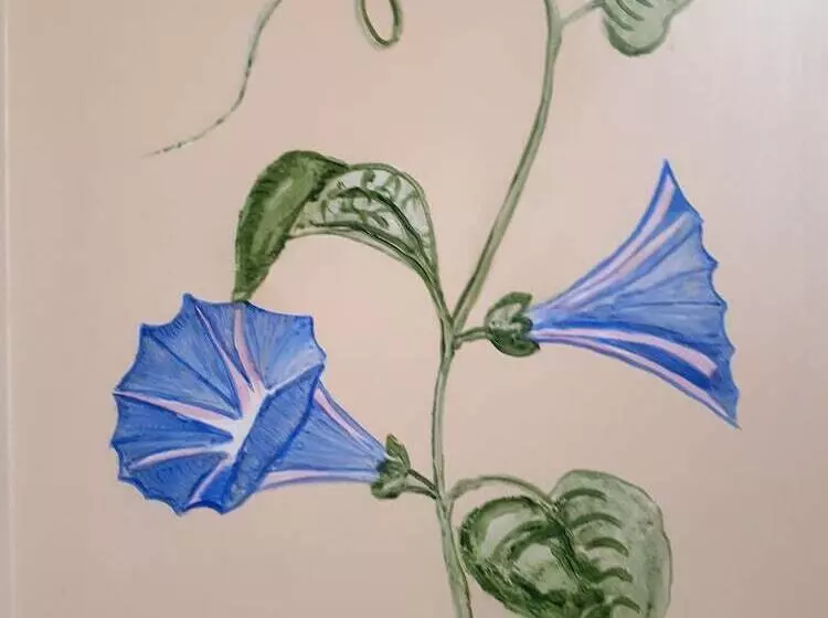 Fotos del hotel Lilium:  5