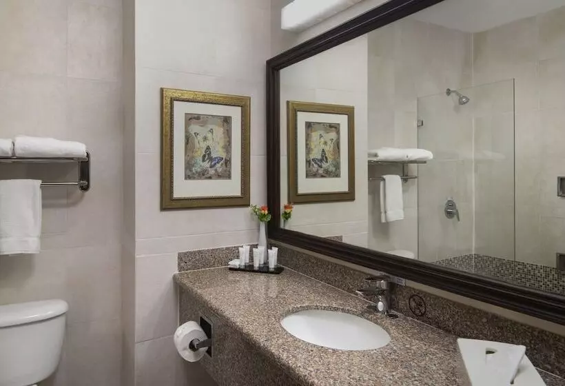 Fotos del hotel Hodelpa Garden Suites:  19