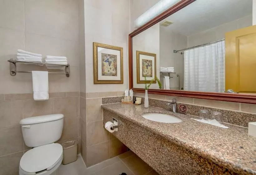 Fotos del hotel Hodelpa Garden Suites:  18